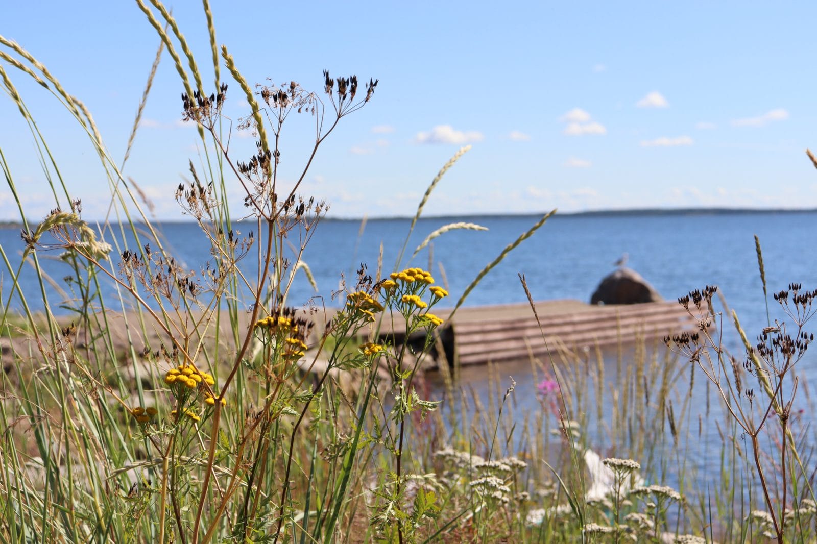 ranta ja laituri