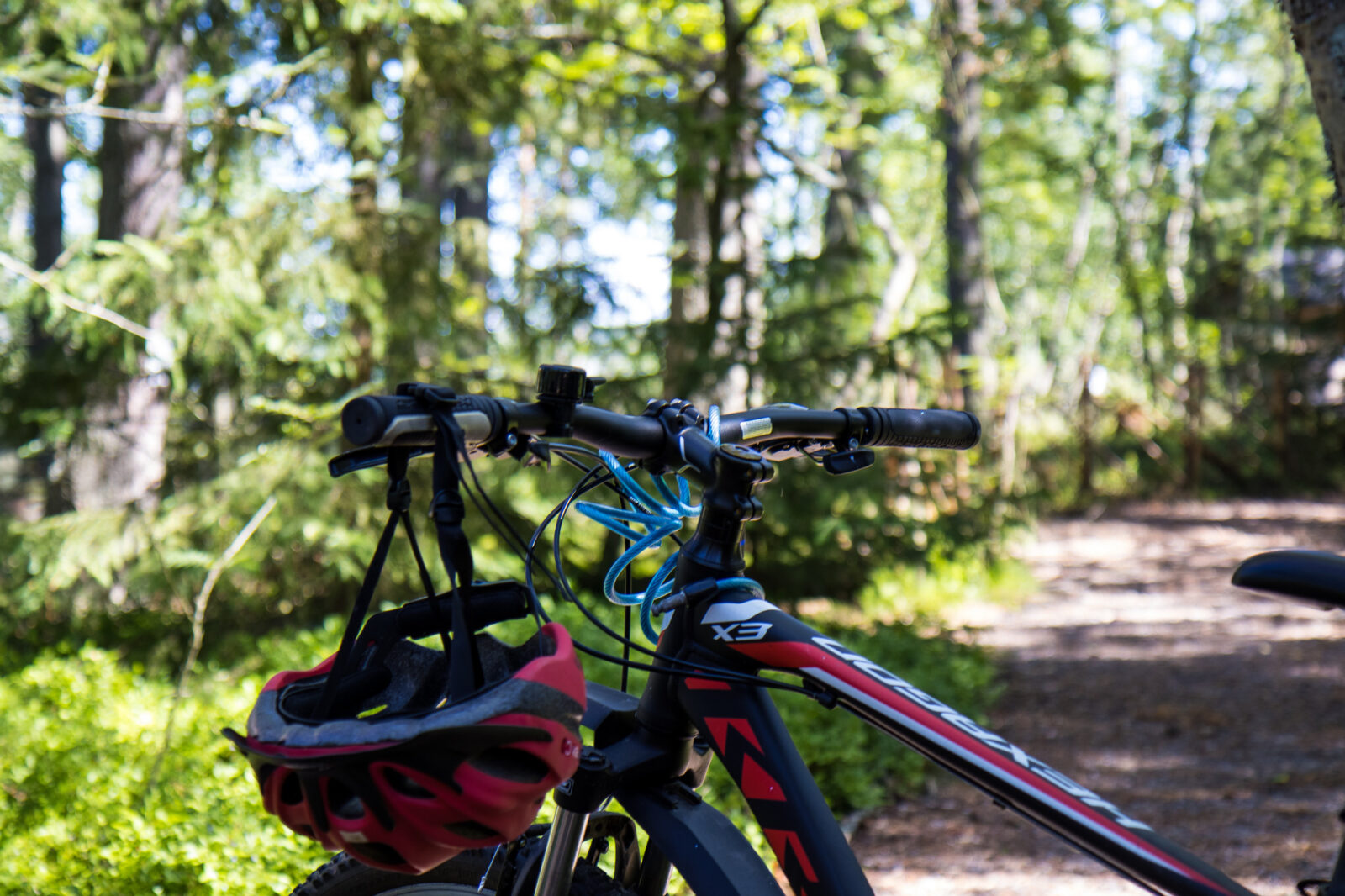 polkupyörä metsäpolulla